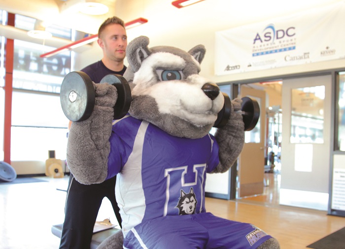 Huskies mascot king lifting weights with personal trainer