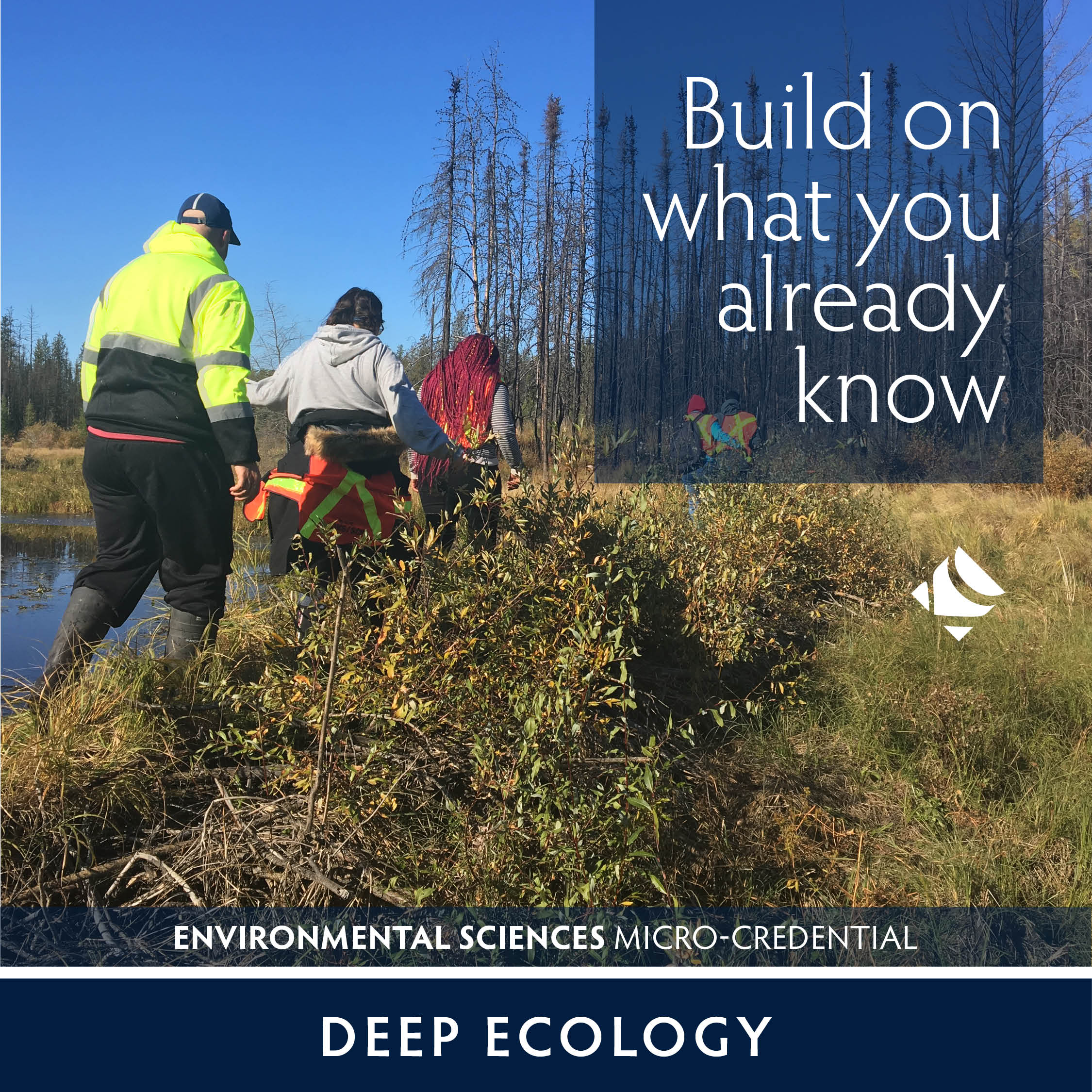 deep ecology