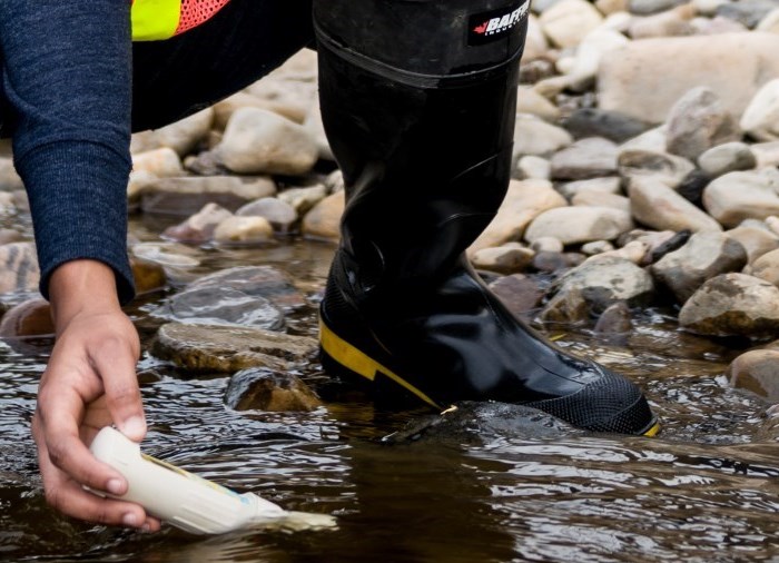 Student collecting sample from creek