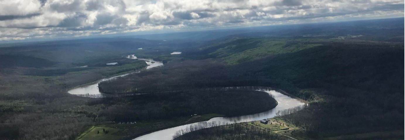 clearwater river and surrounding forest