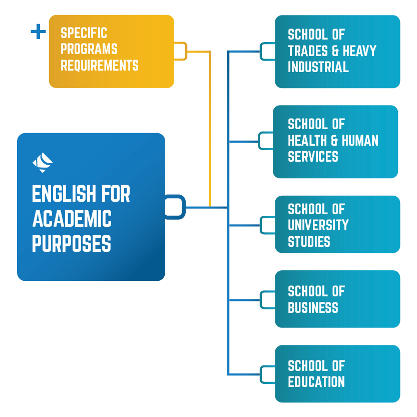 Blue box [English for Academic purposes] line from box [note: specific program requirements must be met] 5 team boxes as options from the large blue box. team box 1 [school of trades & heavy industrial] box 2 [school of health & human services] box 3 [school of university studies] box 4 [school of business] box 5 [school of education]