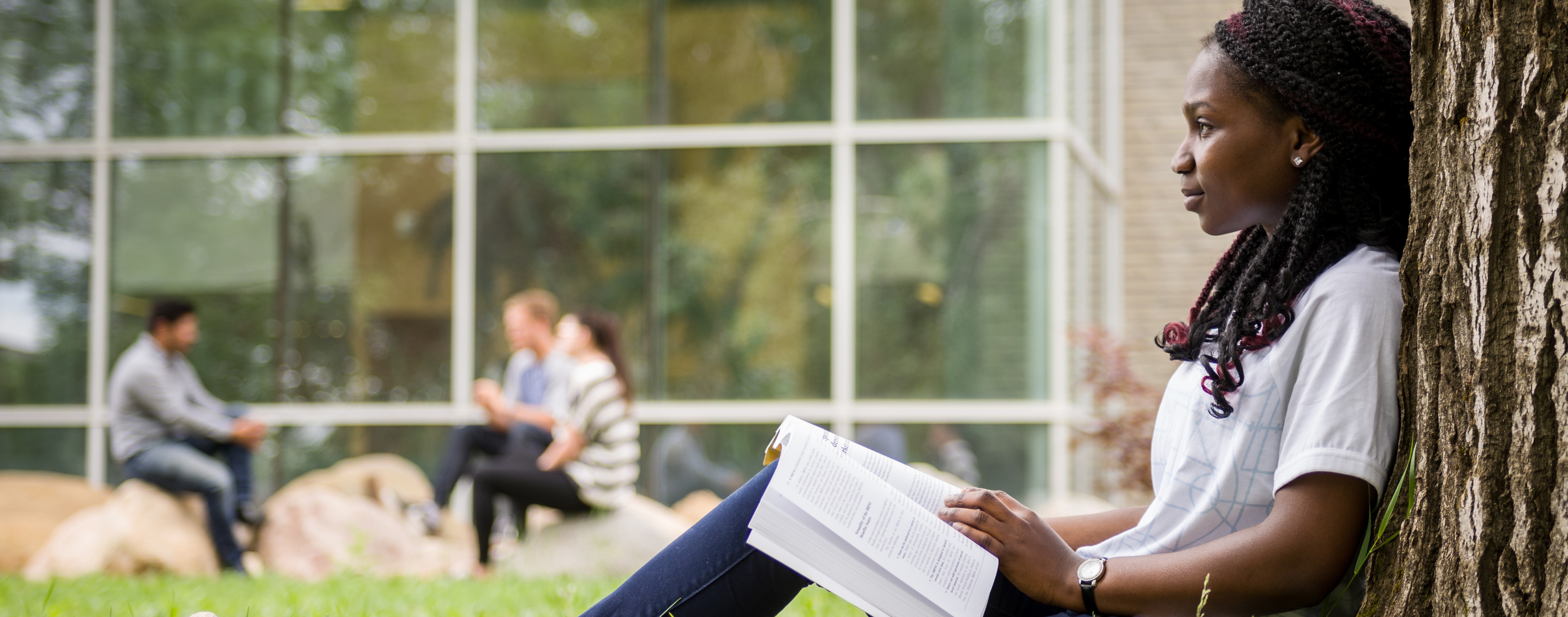 student reading under tree