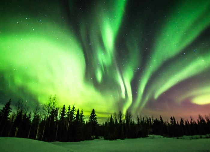 northern lights at night with snow and trees