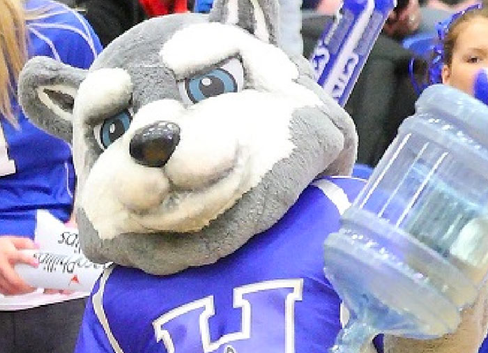 husky image