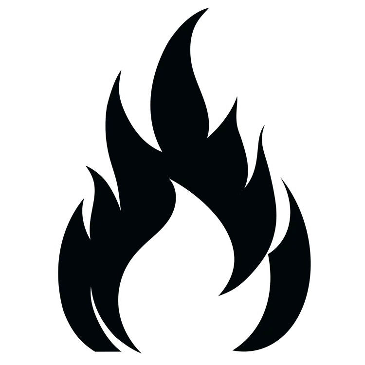 Fire icon